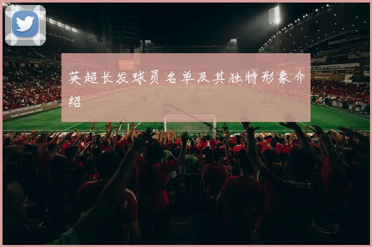 英超长发球员名单及其独特形象介绍