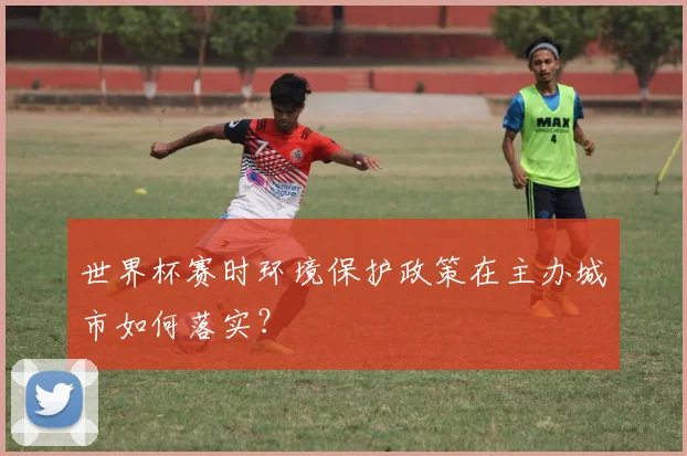 世界杯赛时环境保护政策在主办城市如何落实？