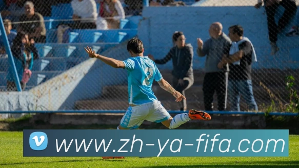 世界杯赛程平台生态图