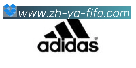 世界杯赛程合作伙伴